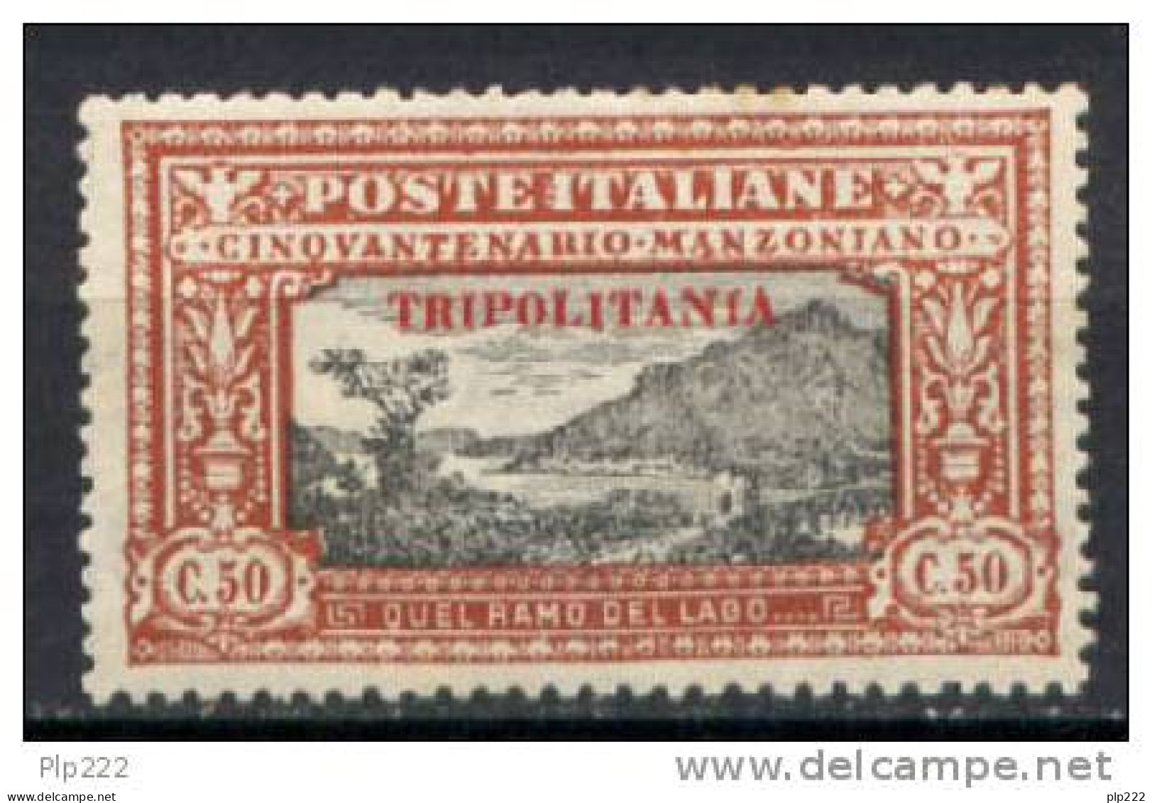 Tripolitania 1924 Sass.14 */MH VF - Tripolitania