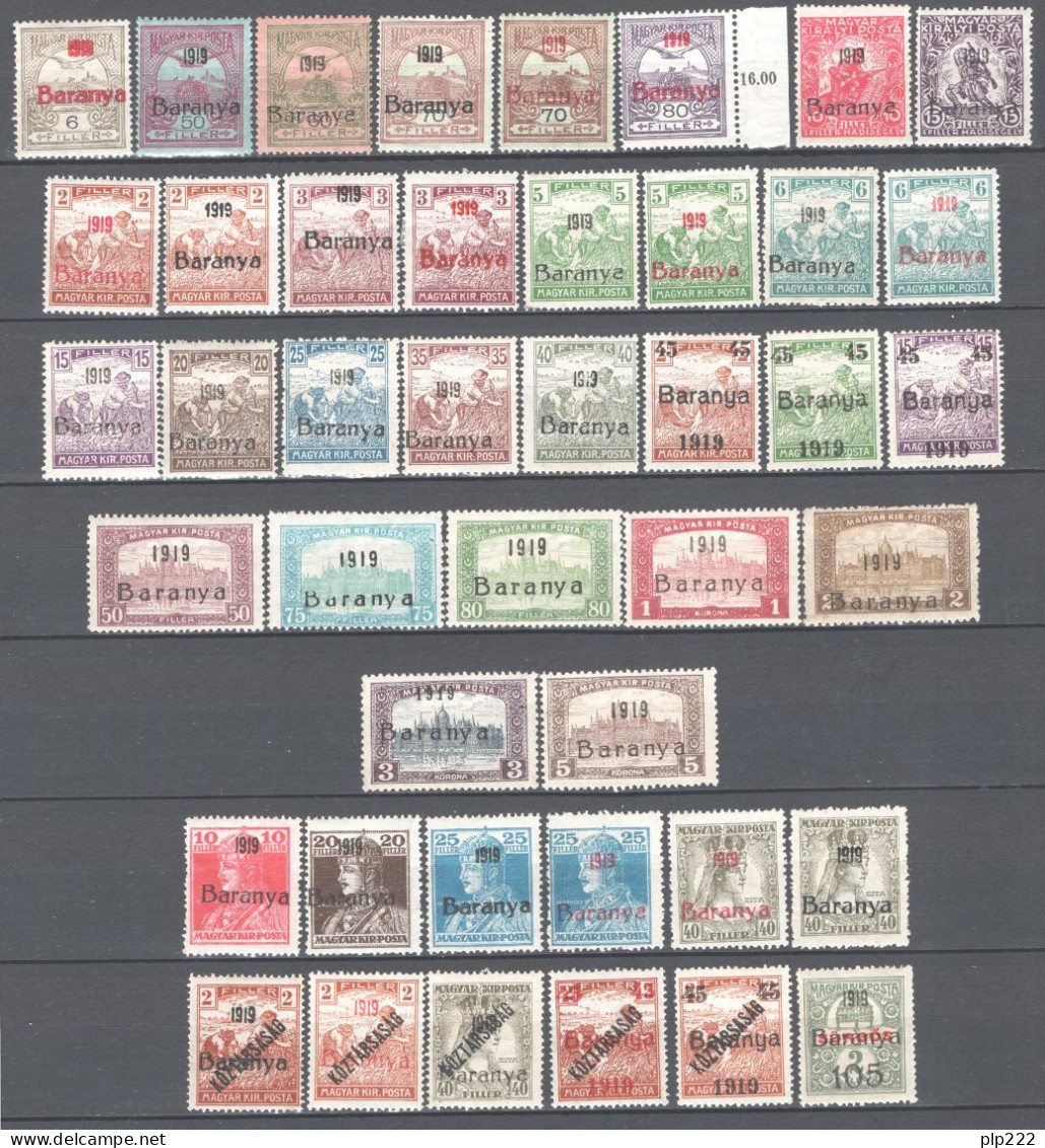 Ungheria Baranya 1919 Collezione Avanzata / Advanced Collection 61 Val. */MH VF/F - Local Post Stamps