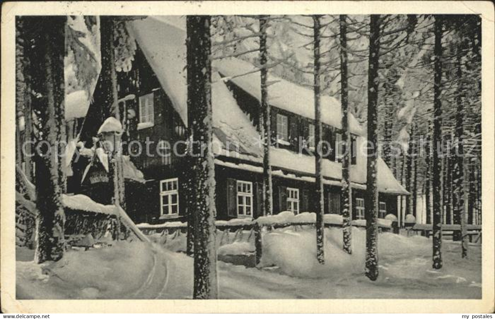 42397504 Altenberg Erzgebirge Historische Waldschaenke Raupennest Im Winter Alte - Geising