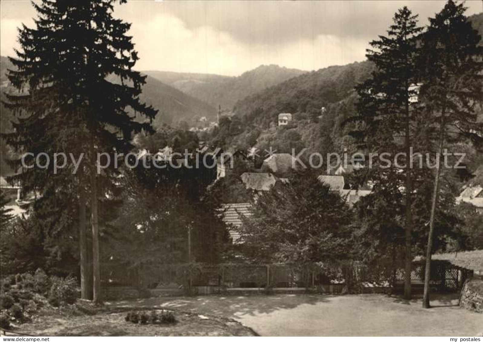 42389593 Altenbrak Harz Blick Von Der Waldbuehne Altenbrak - Altenbrak