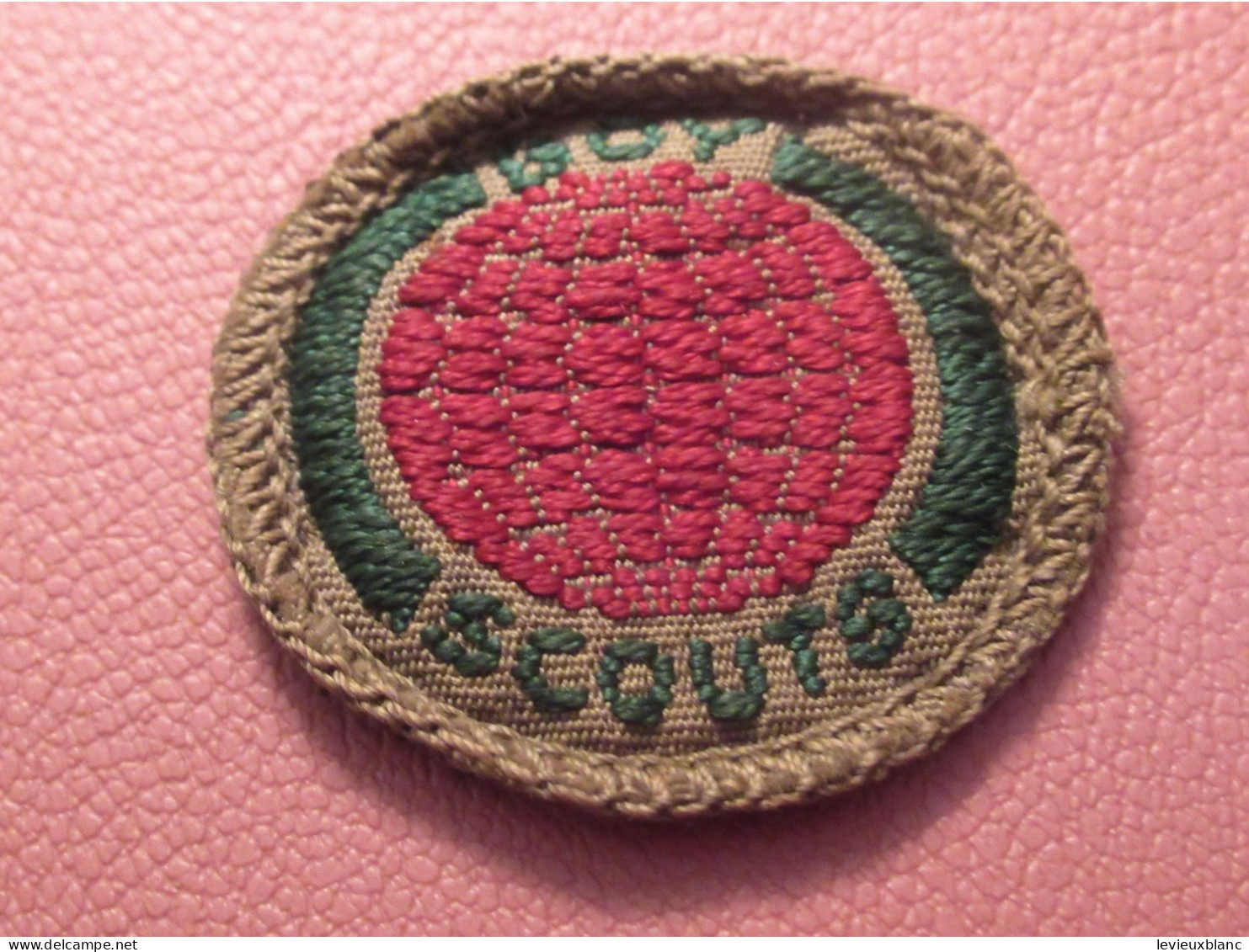 Scoutisme Canada/ Ecusson  Tissu/ Insigne De Mérite/ Mappemonde ?  /année 1940-1960                  ET587 - Scoutismo