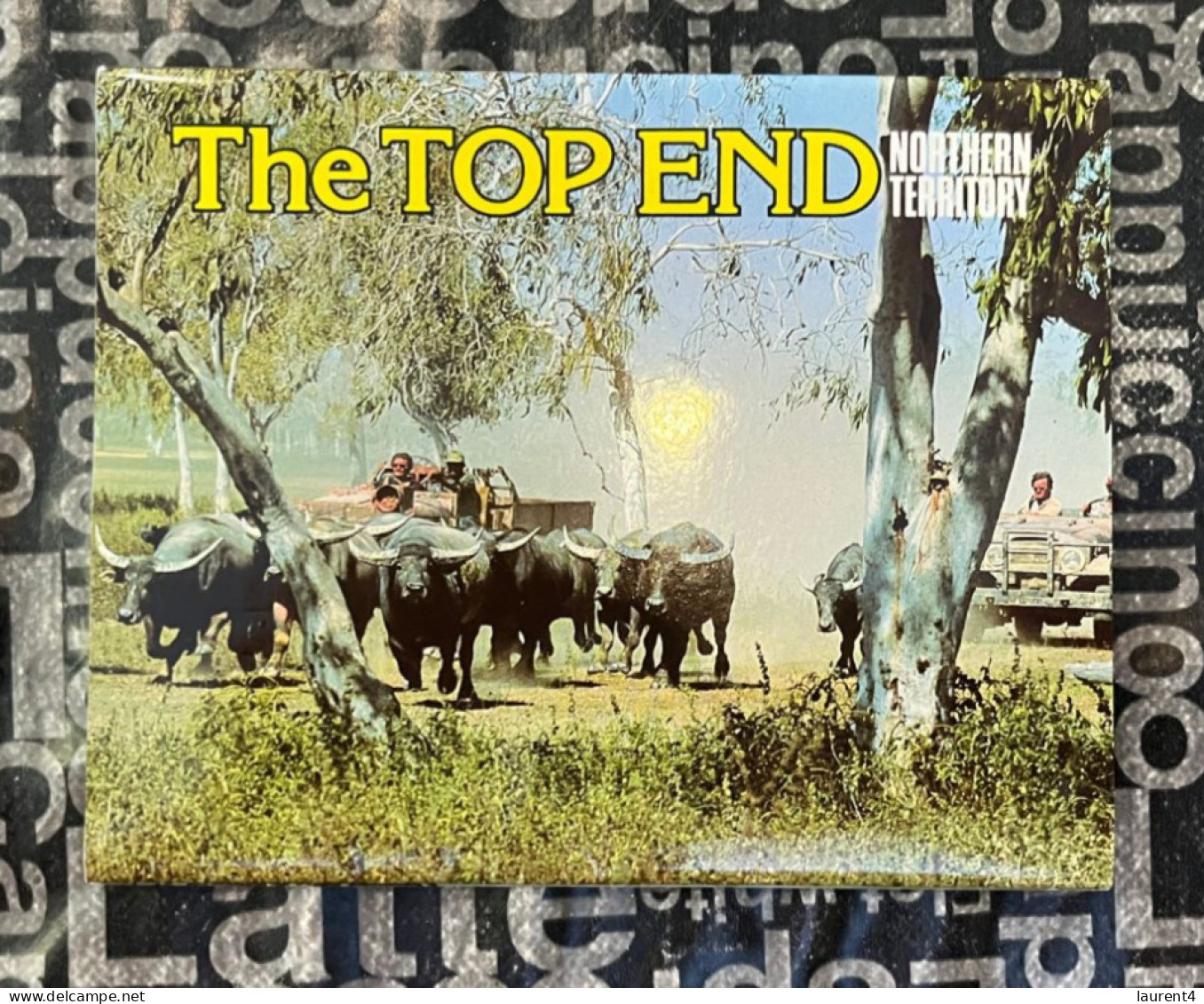 (Booklet 26-12-2023) Postcard Booklet - NT - The Top End (Buffalo Farming) - Sin Clasificación