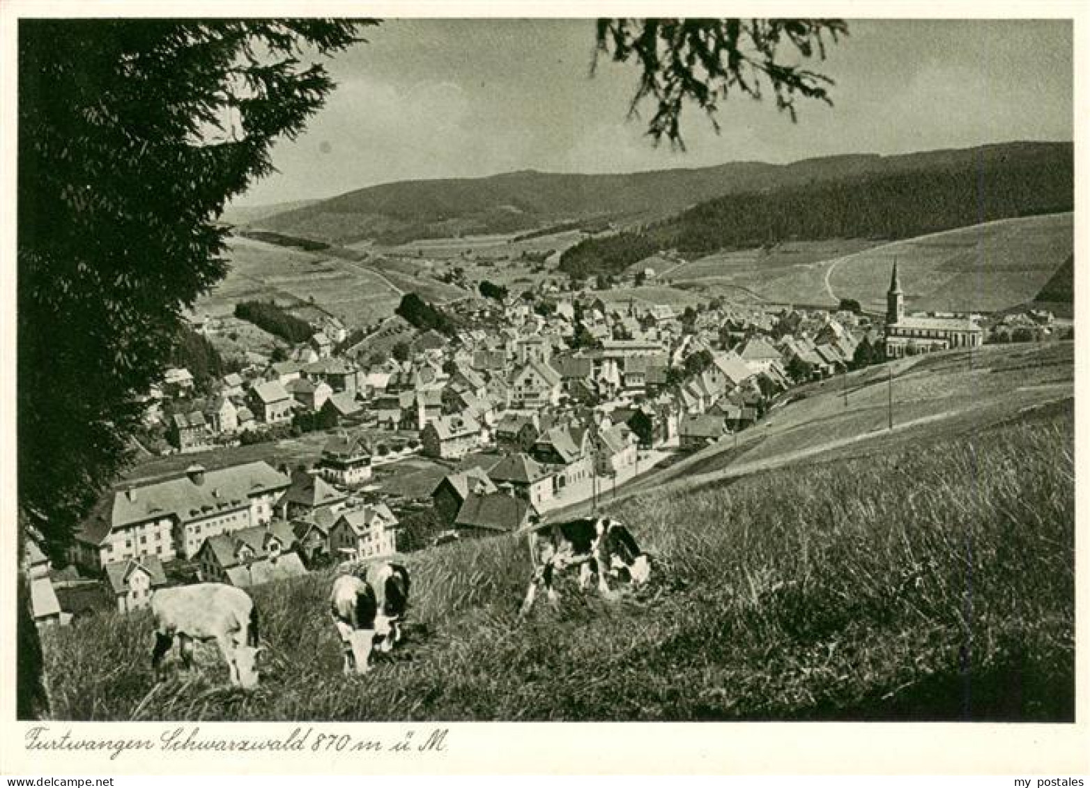 73905064 Furtwangen Panorama - Furtwangen