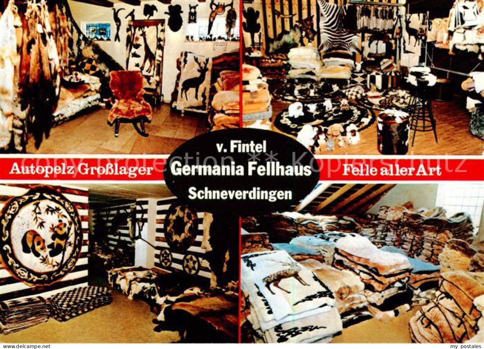 73797106 Schneverdingen Germania Fellhaus V Fintel Autopelz Grosslager Schneverd - Schneverdingen