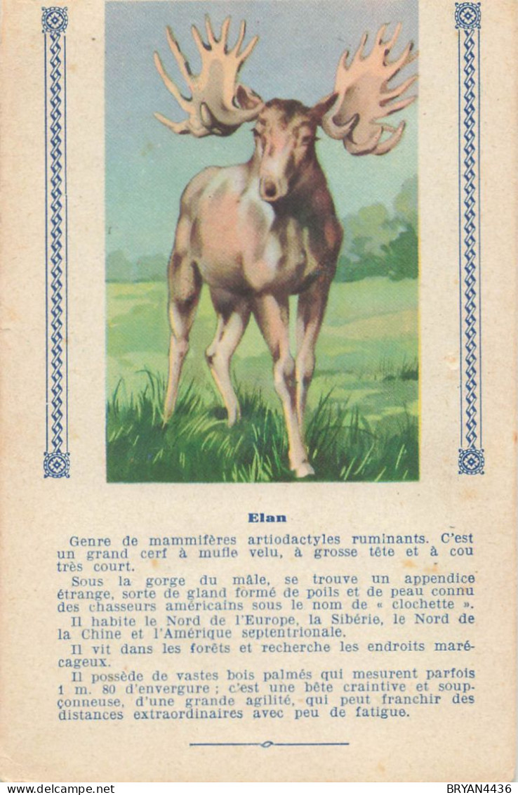 ELAN - ANIMAL - CARTE ILLUSTREE (9x14cm) Offerte Aux Enfants Sages Par TEINTURE L'EXPRESS - Hipopótamos