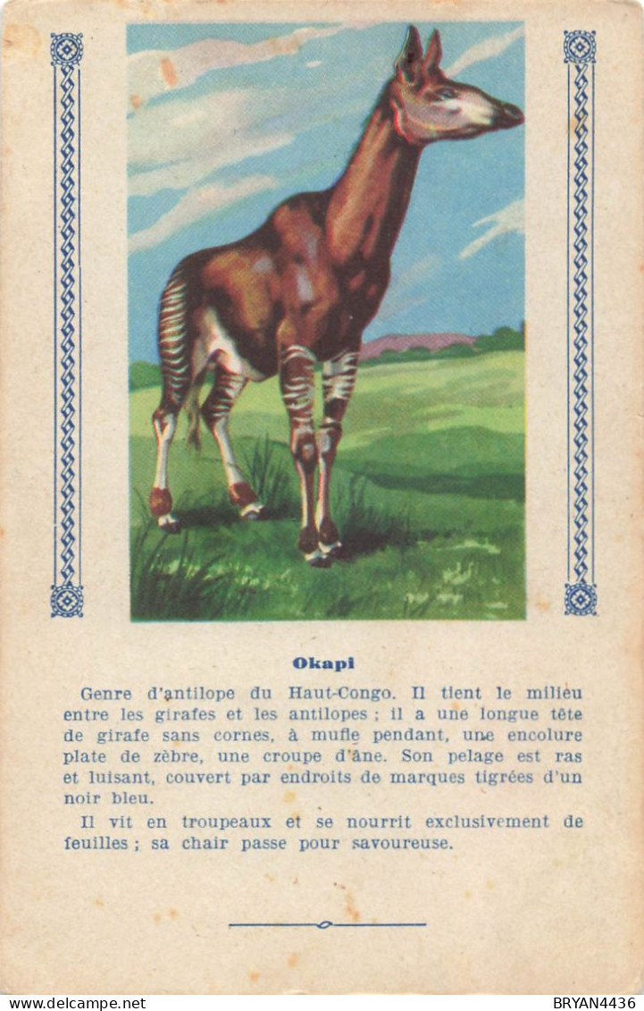 OKAPI - ANIMAL - CARTE ILLUSTREE (9x14cm) Offerte Aux Enfants Sages Par TEINTURE L'EXPRESS - Hippopotames