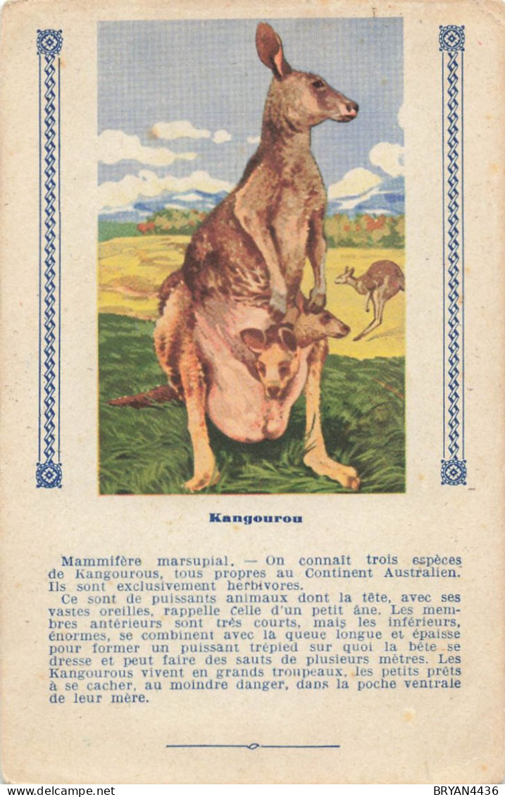 KANGOUROU - ANIMAL - CARTE ILLUSTREE (9x14cm) Offerte Aux Enfants Sages Par TEINTURE L'EXPRESS - Hippopotamuses