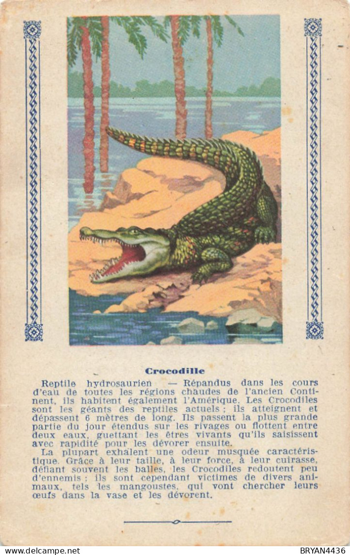 CROCODILLE - ANIMAL REPTILE - CARTE ILLUSTREE (9x14cm) Offerte Aux Enfants Sages Par TEINTURE L'EXPRESS - Flusspferde