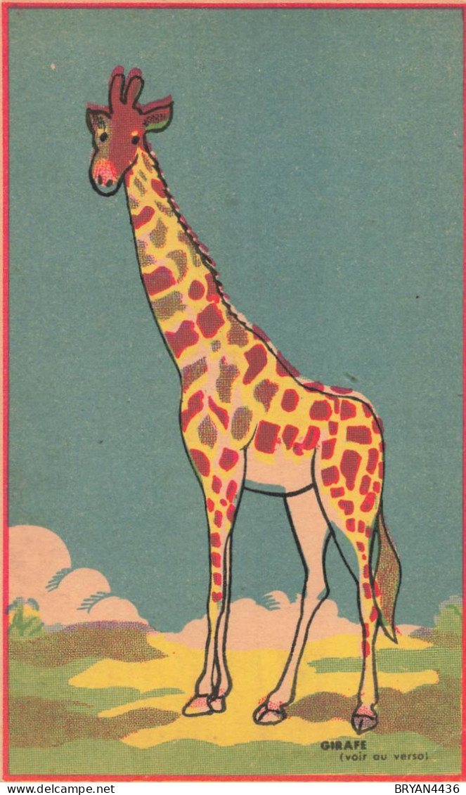 GIRAFE - ANIMAL  - CARTE ILLUSTREE (9x15cm) PUB " LE TIP BEURRE ". - Hippopotamuses