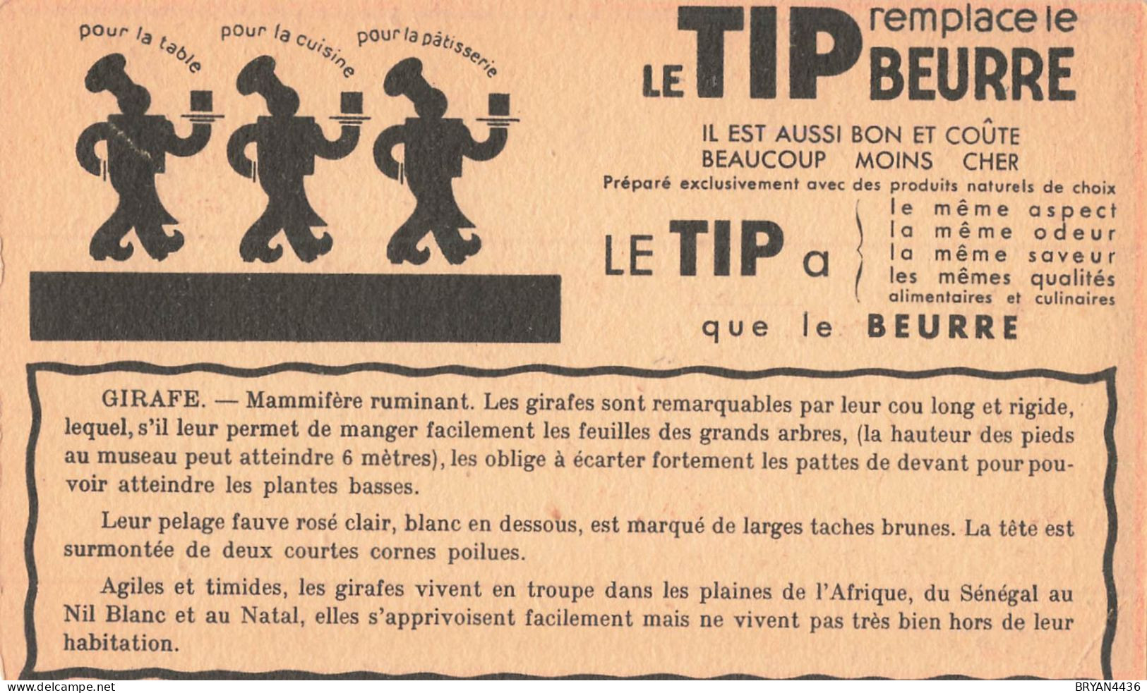 GIRAFE - ANIMAL  - CARTE ILLUSTREE (9x15cm) PUB " LE TIP BEURRE ". - Ippopotami