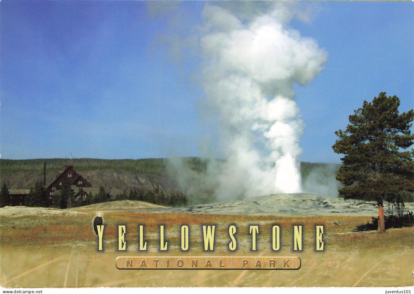 CPSM Yellowstone-National Park-Old Faithful Erupts-Beau Timbre-RARE      L2463 - Yellowstone