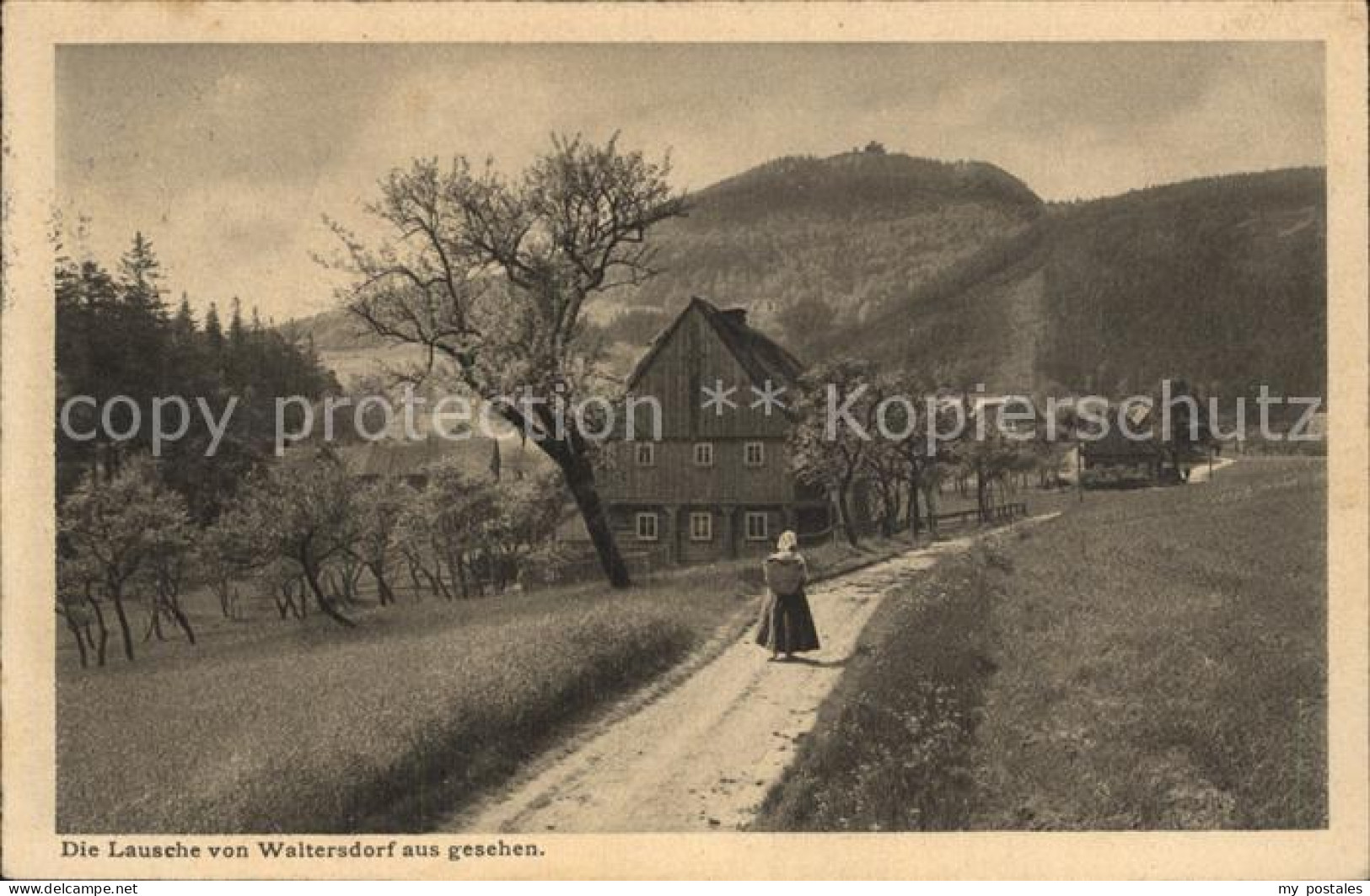 42384806 Waltersdorf Zittau Feldweg Mit Blick Zur Lausche Serie Saechsische Heim - Grossschoenau (Sachsen)