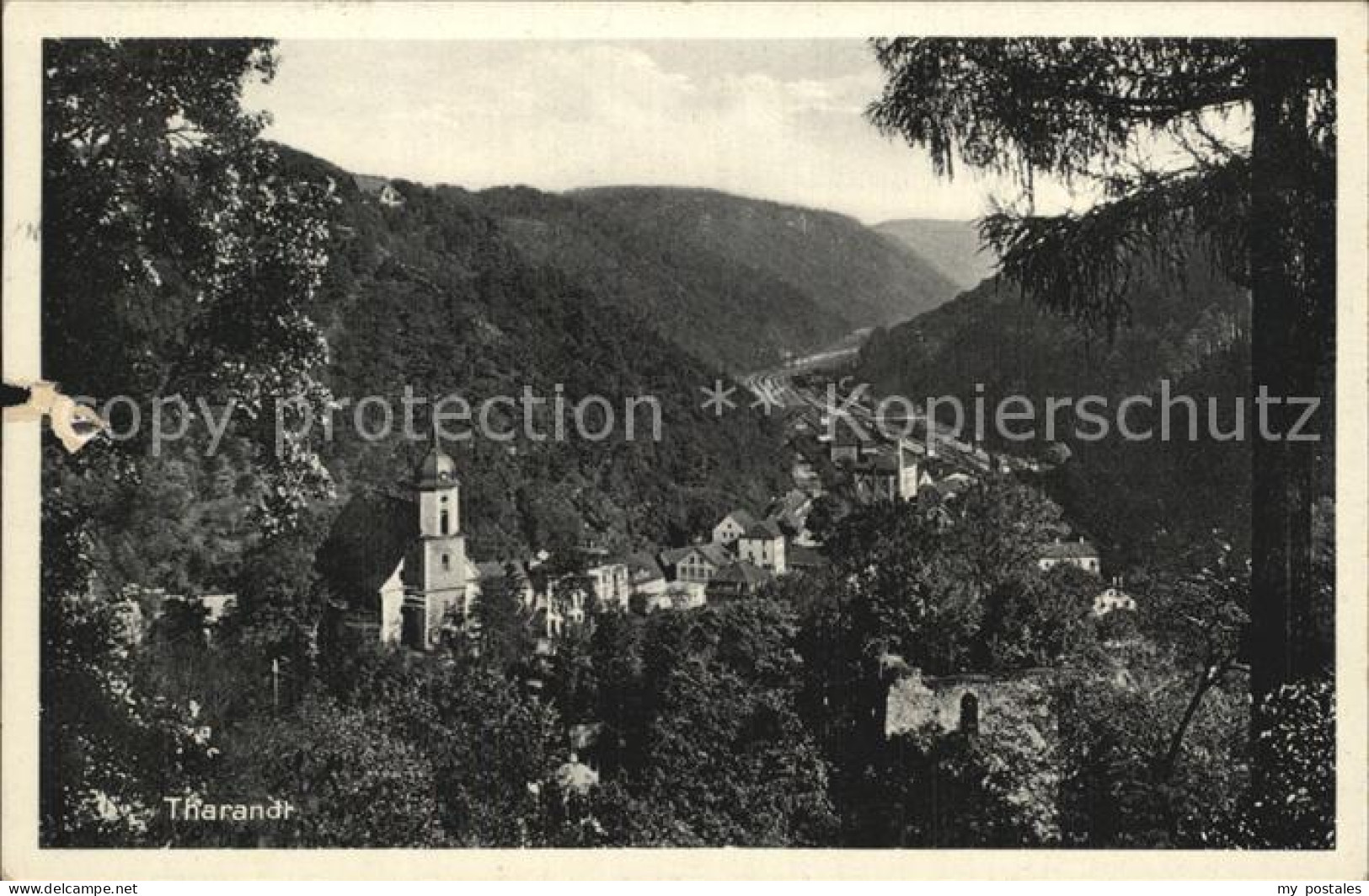 42380110 Tharandt Panorama Blick Ins Tal Ruine Kirche Tharandt - Tharandt