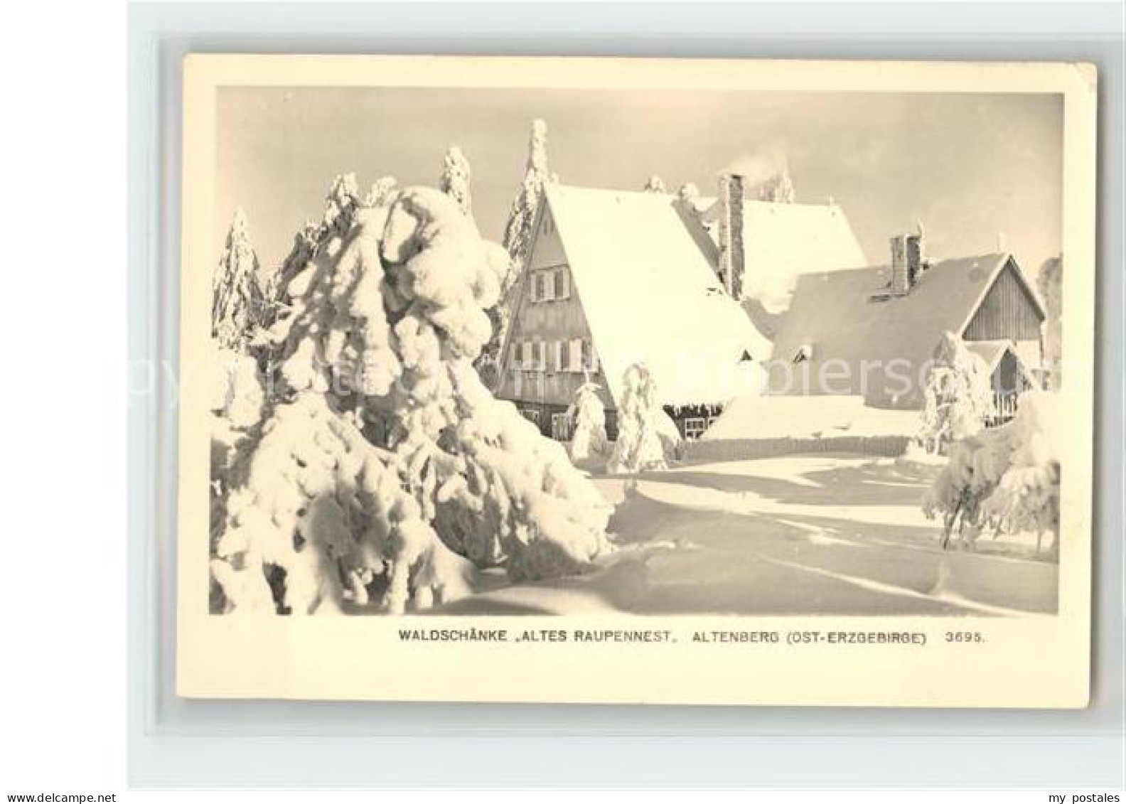 42367564 Altenberg Erzgebirge Waldschaenke Altes Raupennest Winterlandschaft Gei - Geising