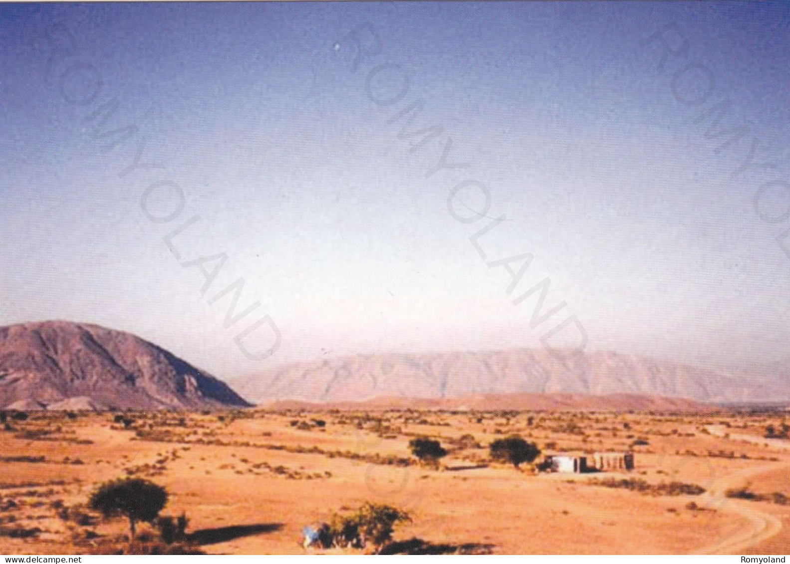 CARTOLINA  SOMALIA,AFRICA-PAESAGGIO SOMALO-NON VIAGGIATA - Somalie