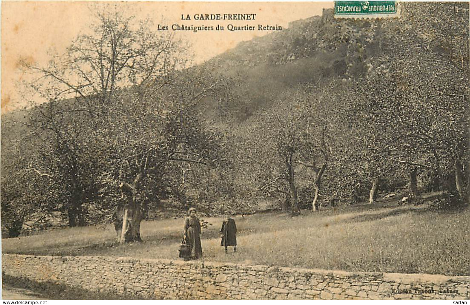 83 , LA GARDE FREINET , Chataigniers Du Refrain , * 239 21 - La Garde Freinet