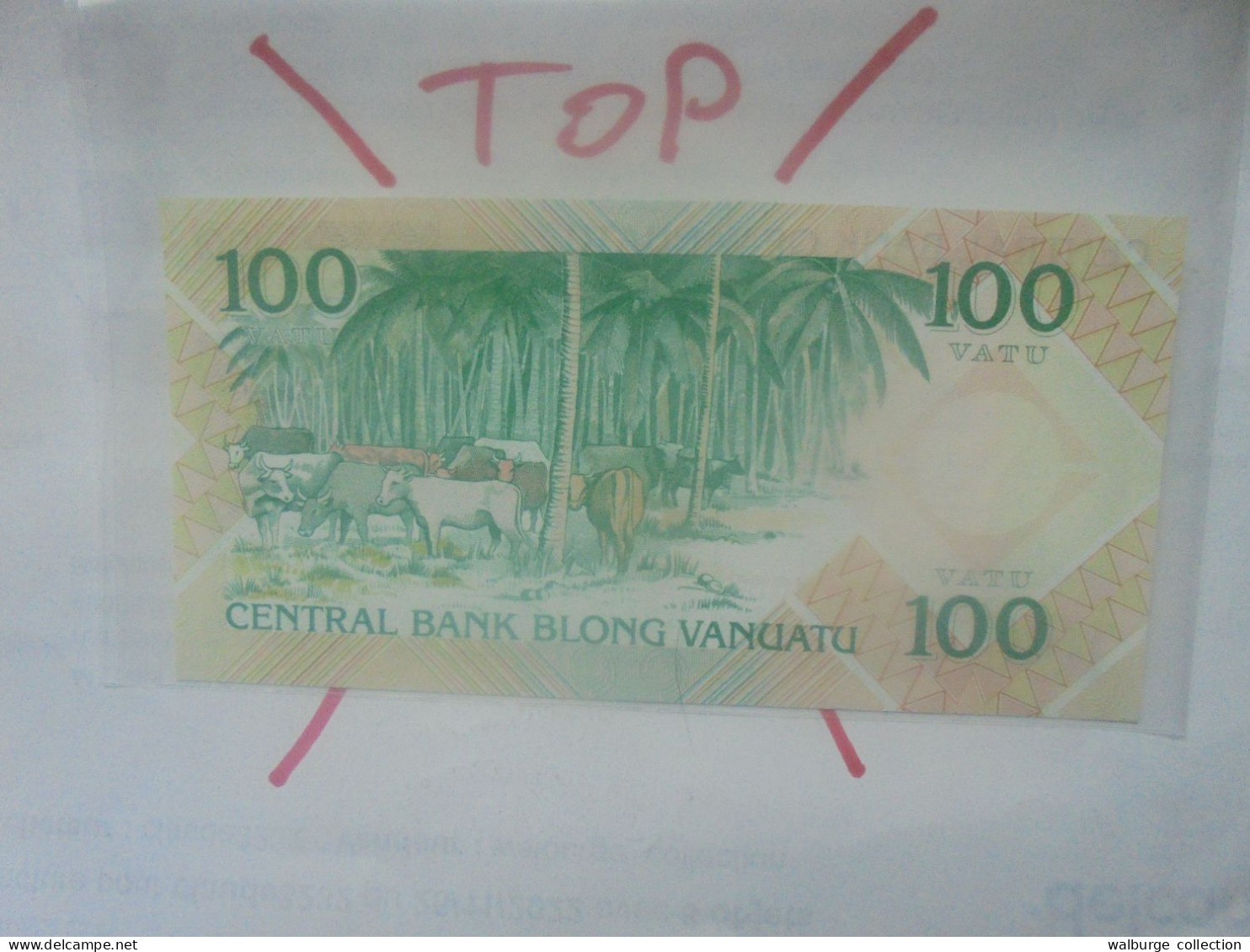 VANUATU 100 VATU 1982 Neuf (B.31) - Vanuatu