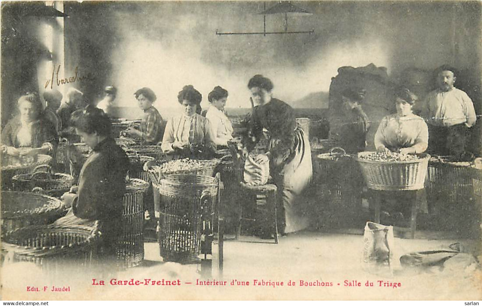 83 , LA GARDE FREINET , Fabrique De Bouchons , Salle De Triage  , * 251 59 - La Garde Freinet