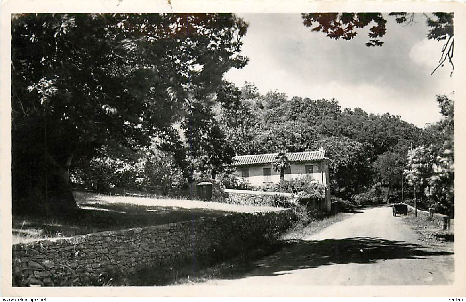 83 , LA GARDE FREINET , Quartier Du Refrain , Les Chataigniers , * 251 62 - La Garde Freinet