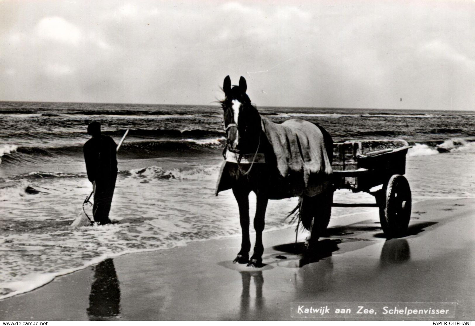 ZUID-HOLLAND - KATWIJK, Schelpenvisser - Katwijk (aan Zee)