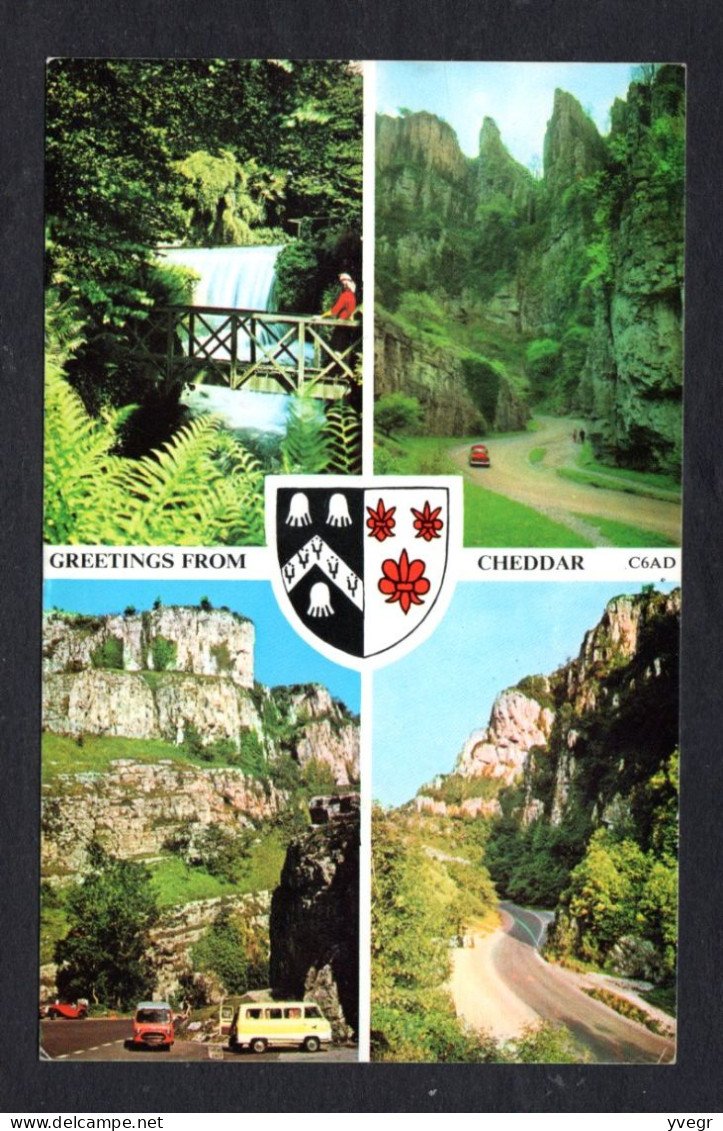 Angleterre - Greetings From CHEDDAR - Multi Vues , Cascade , Mini Bus , Canyon - Cheddar