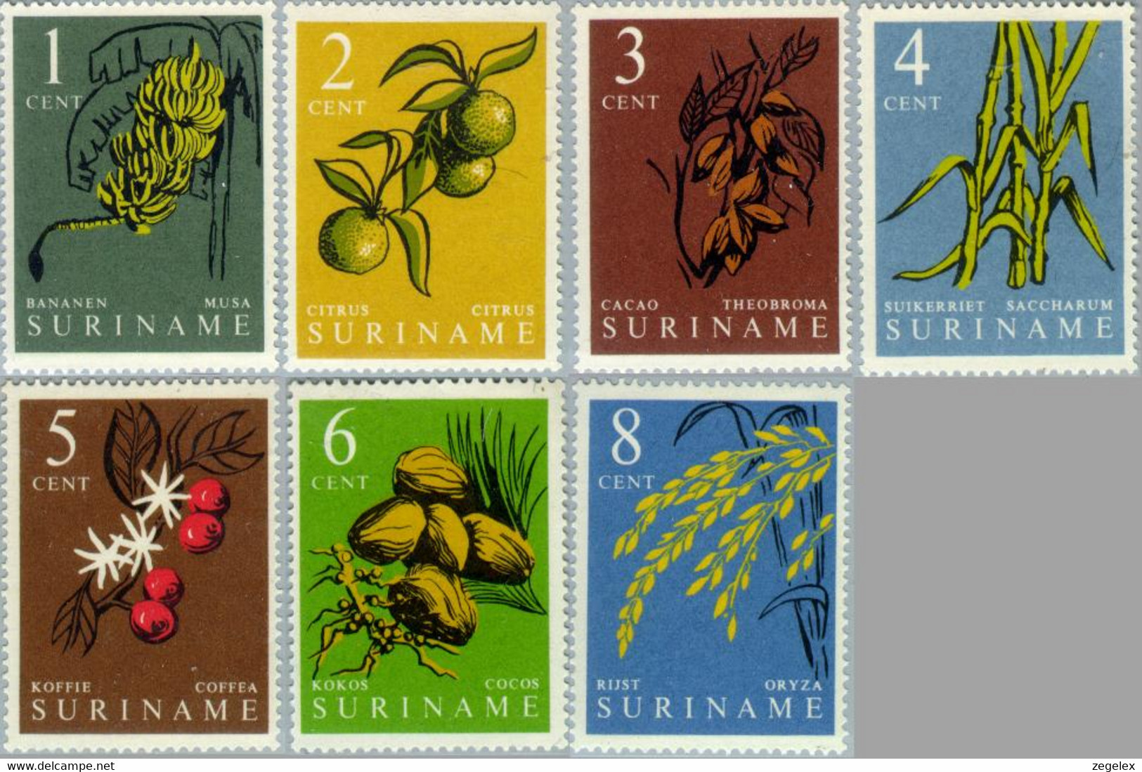 Suriname 1961 Inheemse Vruchten - NVPH  354 MNH** Postfris - Suriname ... - 1975