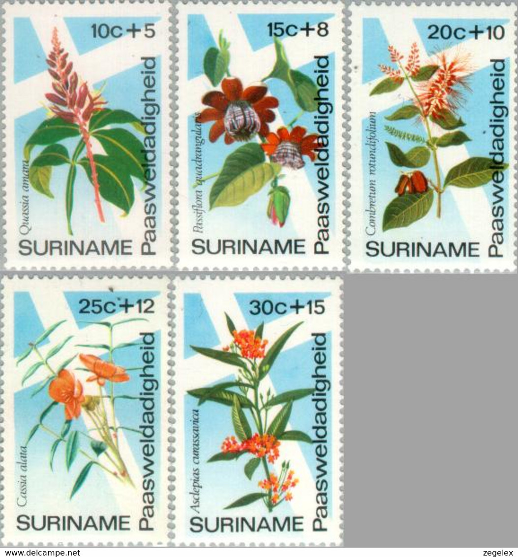 Suriname 1974 Pasen - Flowers - NVPH 616 MNH** Postfris - Suriname ... - 1975