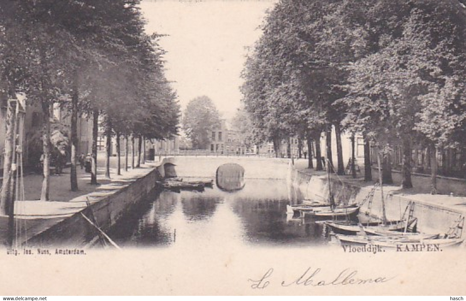 482836Kampen, Vloeddijk. (poststempel 1903)(rechtsboven Een Heel Klein Vouwtje) - Kampen