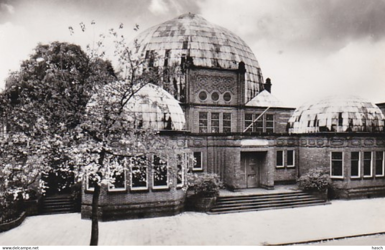 482866Enschede, Synagoge Der Ned. Isr. Gemeente.(mooie Foto Kaart) - Enschede