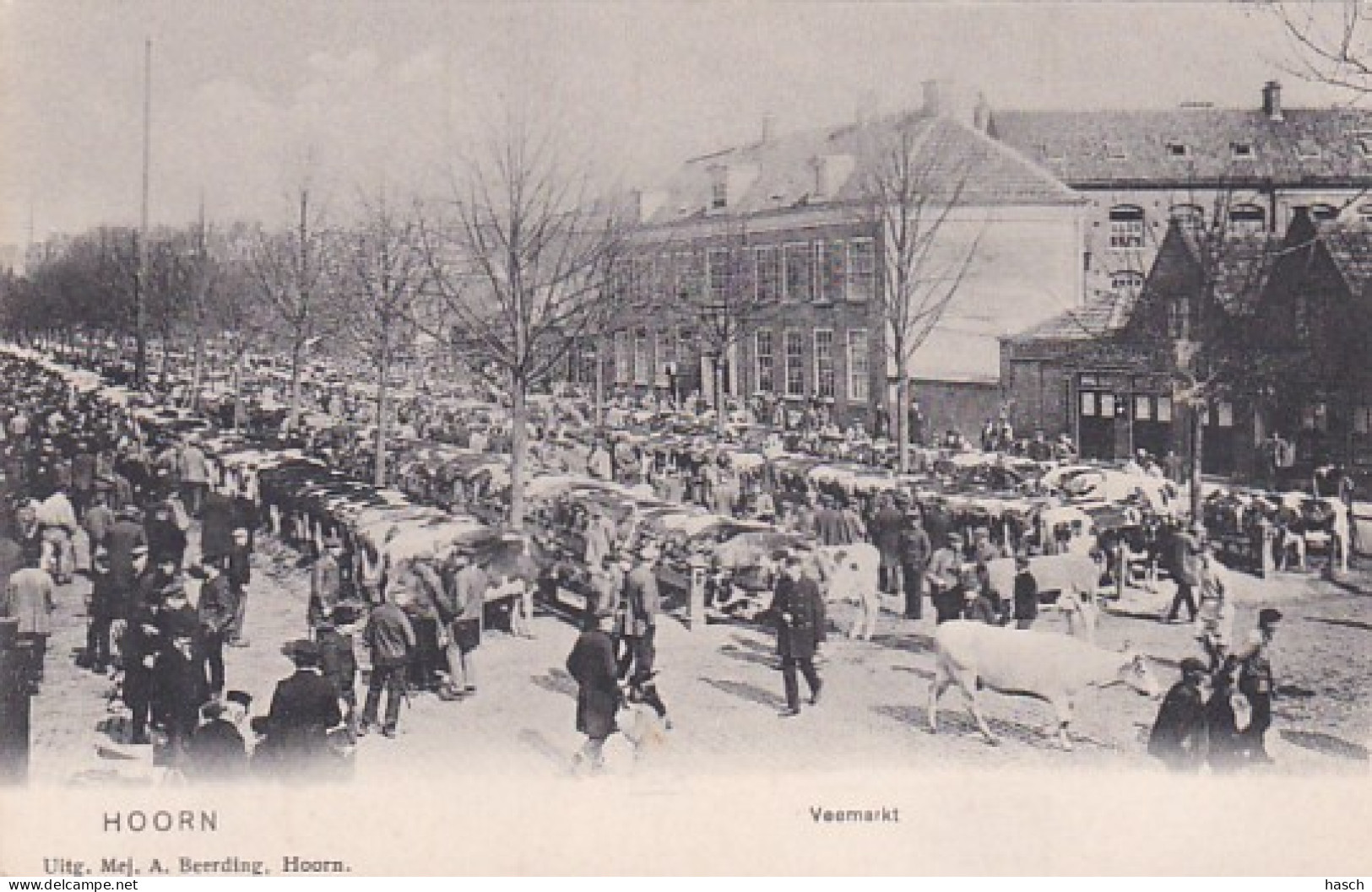 483179Hoorn, Veemarkt. Rond 1900. - Hoorn