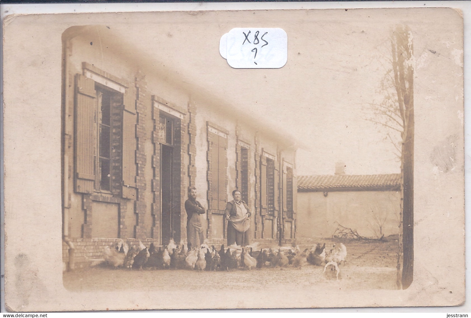 CARTE-PHOTO- FERME- LA BASSE-COUR - Farms