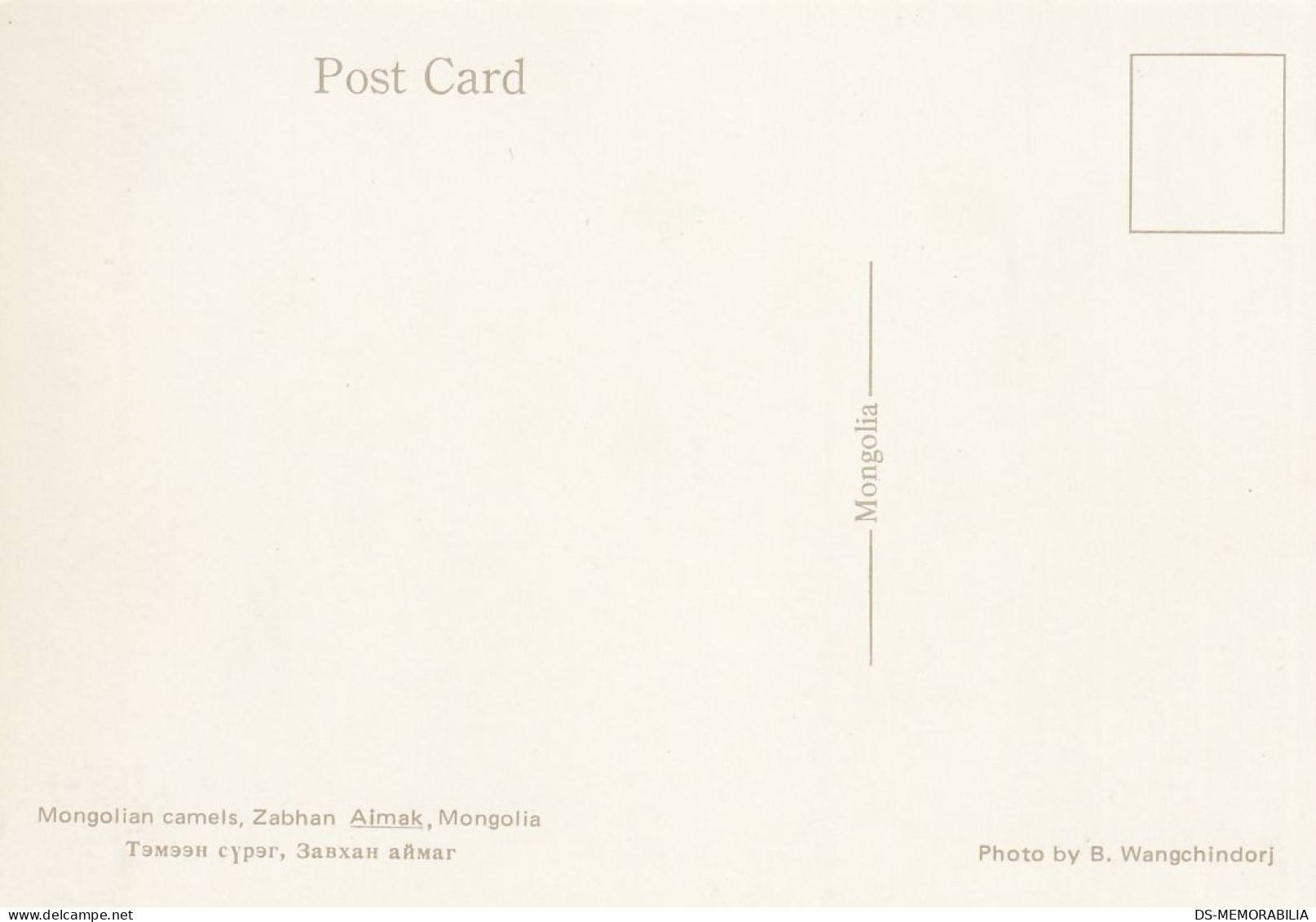 Mongolia - Zabhan Aimak , Camels - Mongolei
