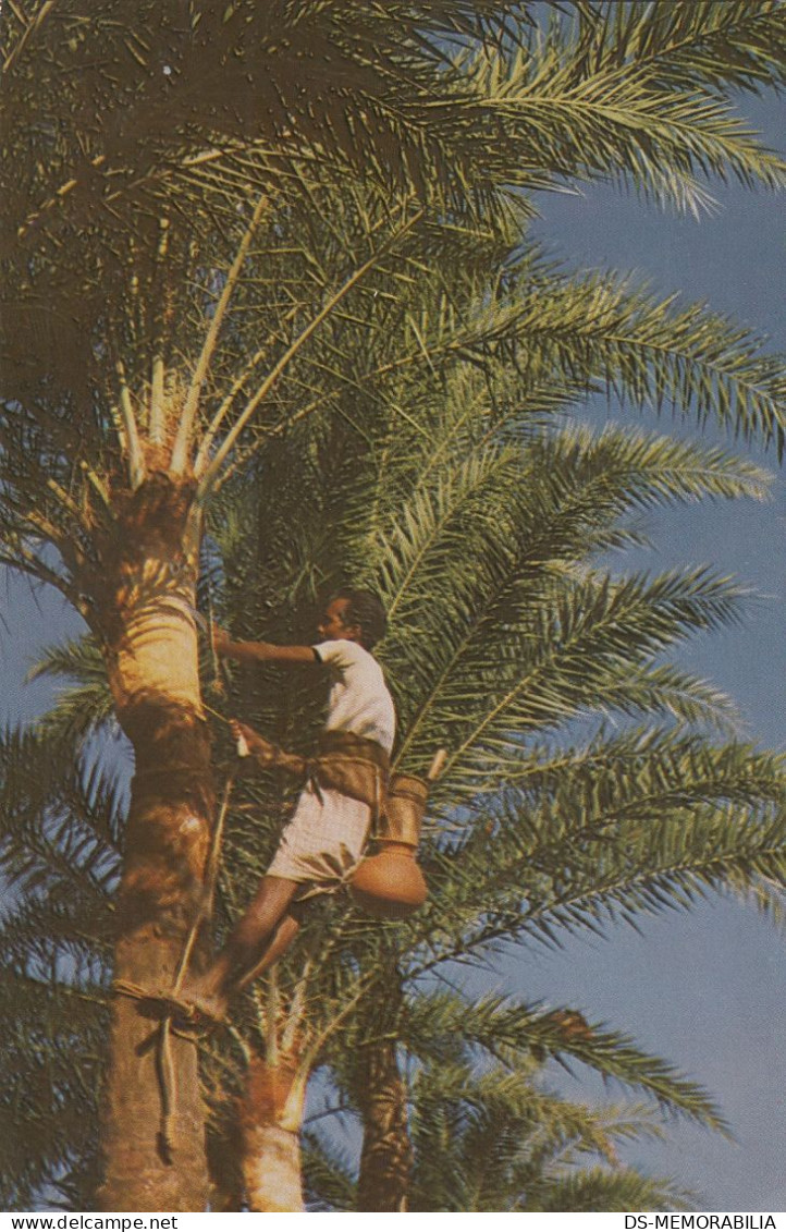 Bangladesh - Collecting Date Tree Juice 1983 Nice Stamps - Bangladesh