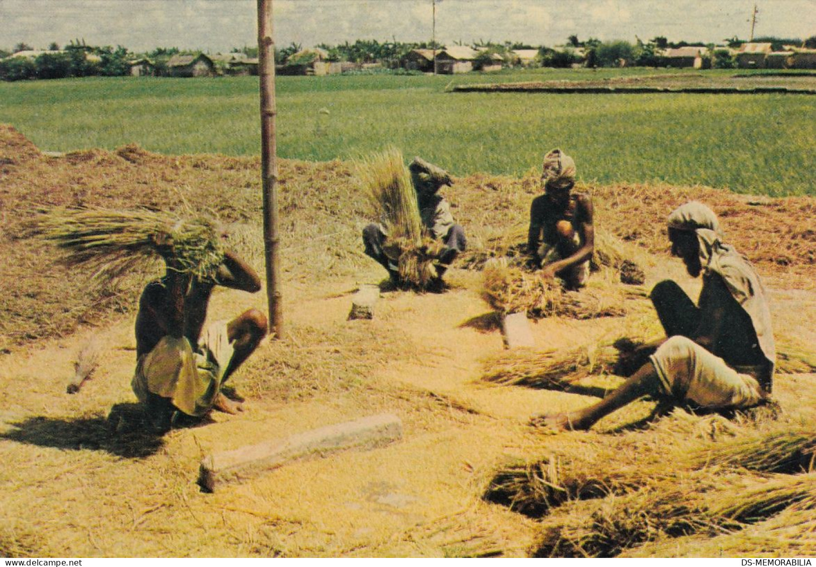 Bangladesh - Farmers 1980 - Bangladesh