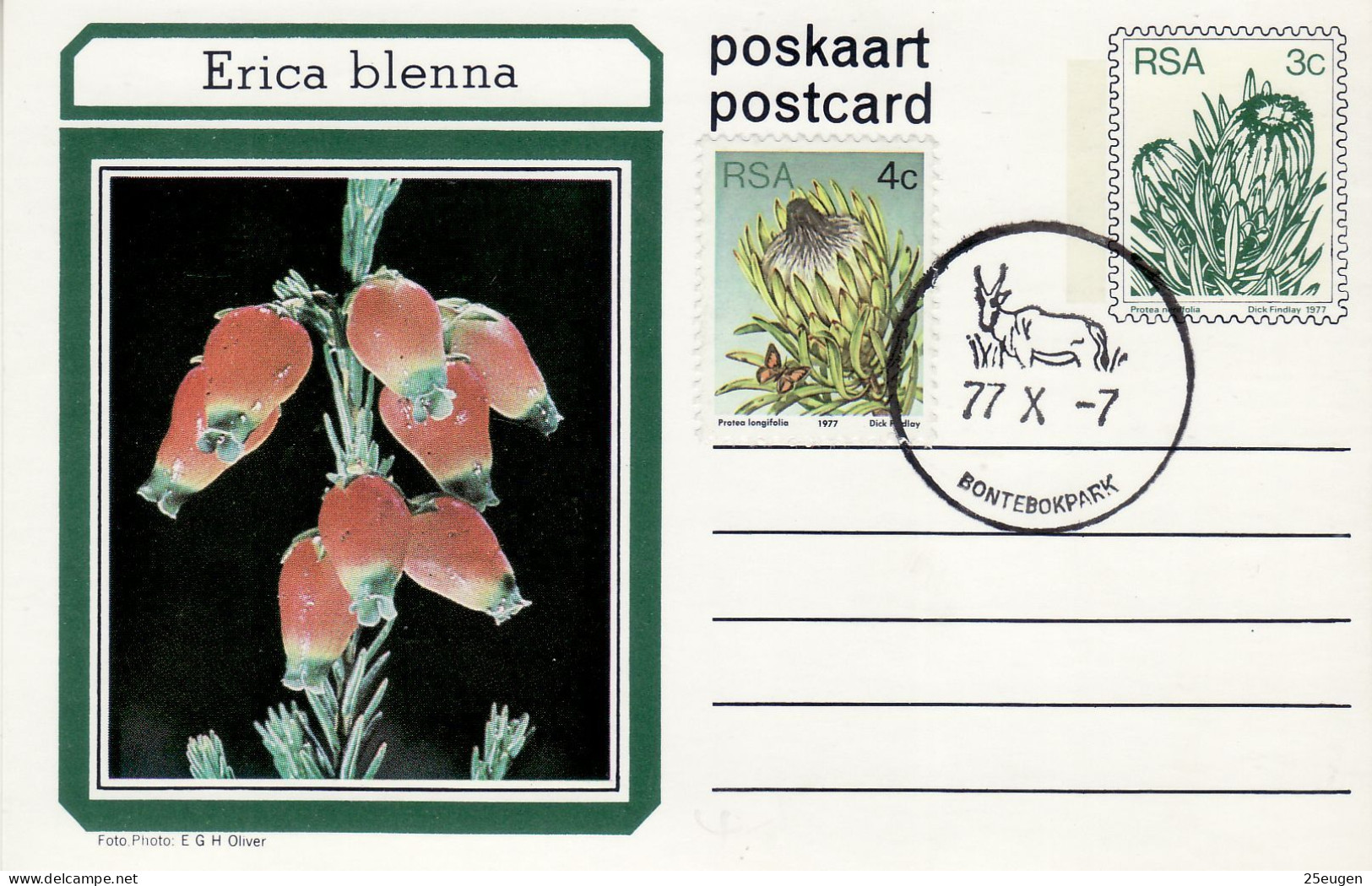 SOUTH AFRICA 1977 COMMEMORATIVE CARD - Lettres & Documents
