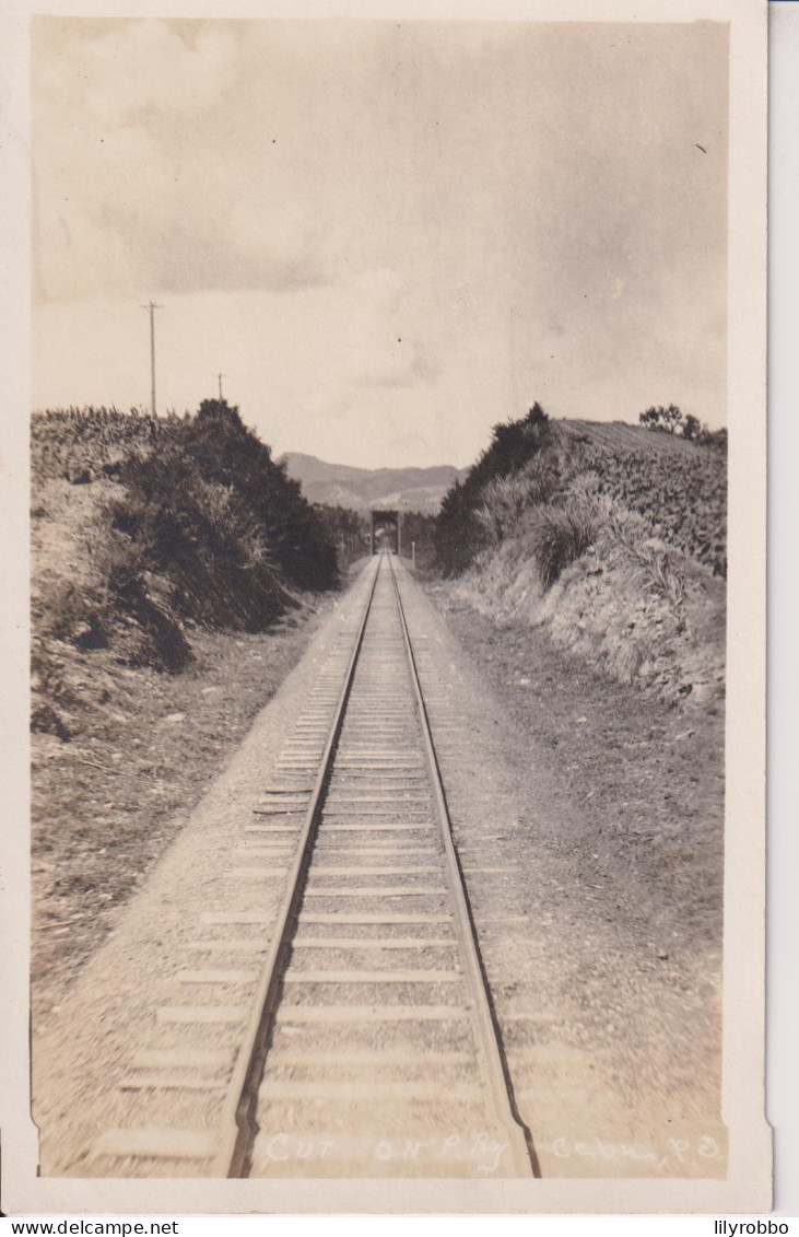 PHILIPPEANS (?) - Railway RPPC -See Scan For Titles  - Kunstbauten