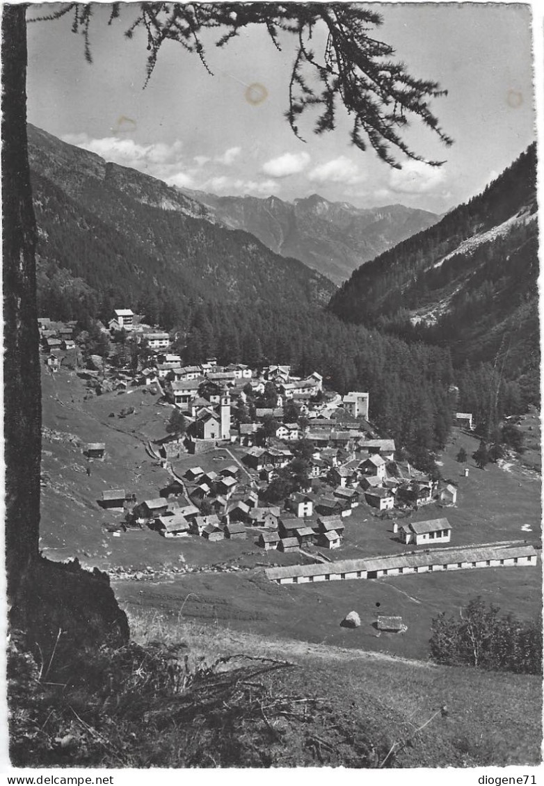 Bosco-Gurin Das Walserdorf Im Tessin 1951 GF - Bosco/Gurin