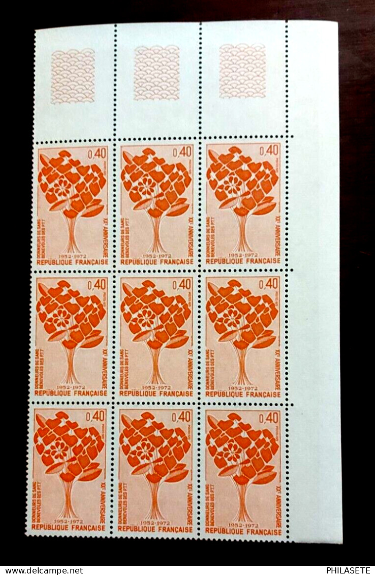 France 1972 Bloc De 9 Timbres  Neuf**  YV N° 1716 Don Du Sang - Feuilles Complètes