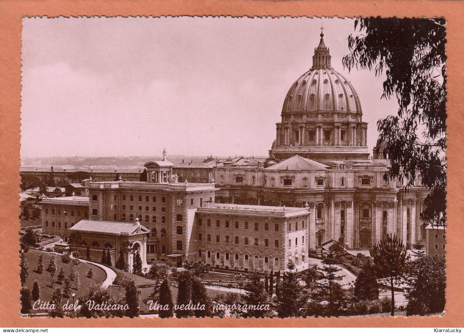 CITTA DEL VATICANO - UNA VEDUTA PANORAMICA - ECRITE - Vatican