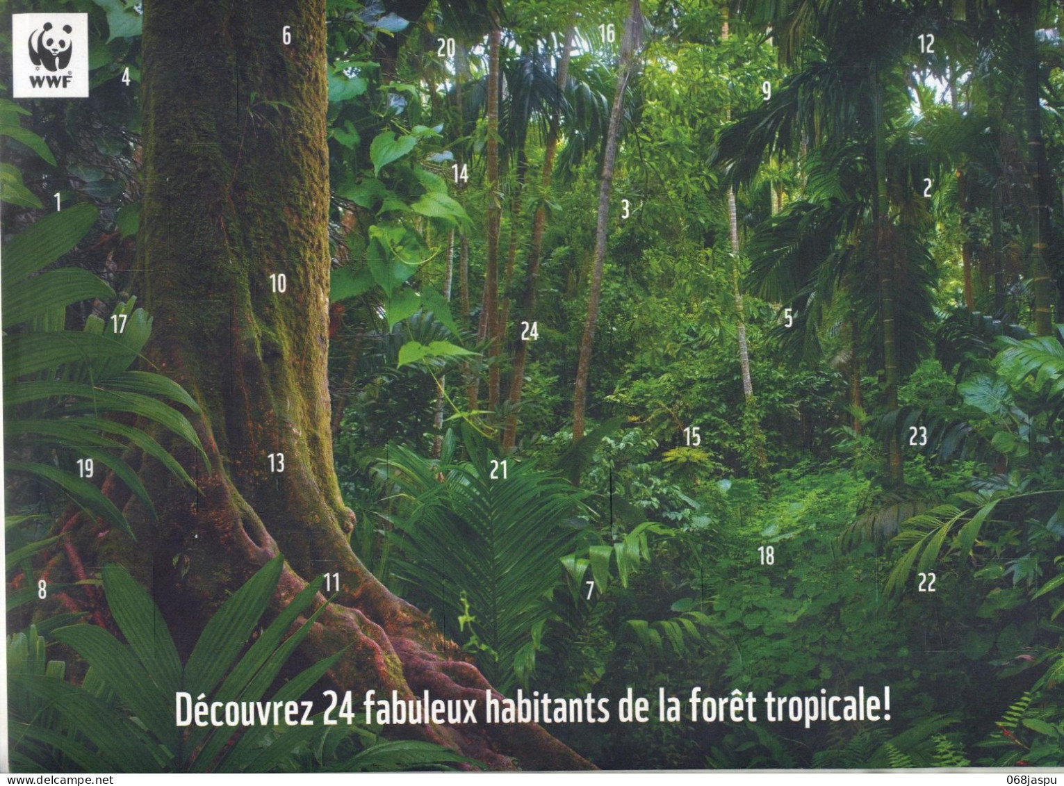 Calendrier 2024 Animaux de la forêt tropicale