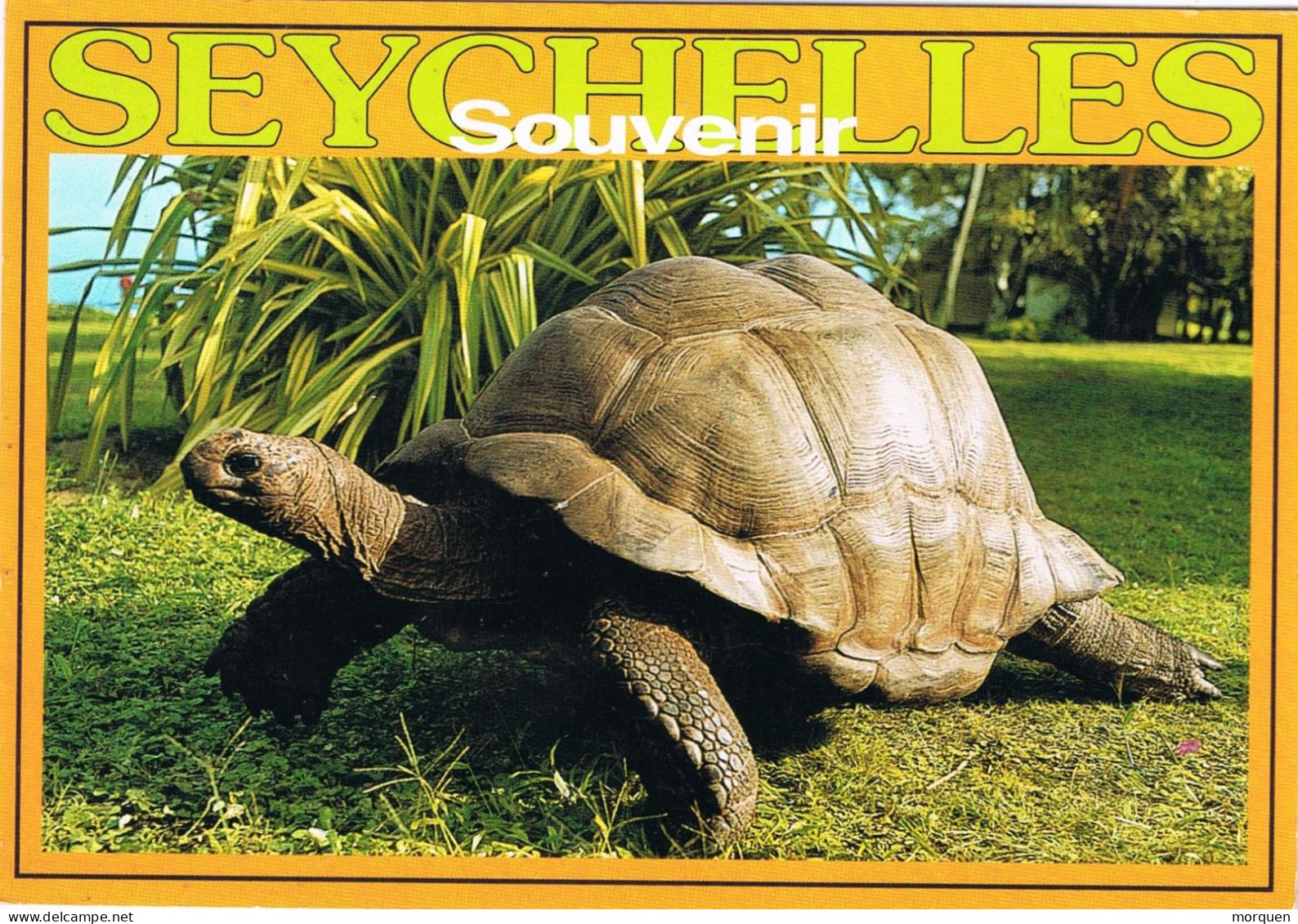 53272. Postal Aerea VICTORIA MAHE (Seychelles) 2009. Tortuga, Turtle - Seychelles (1976-...)