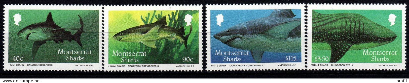 1987 Montserrat ,  Squali Requins  , Serie Completa Nuova (**) - Montserrat