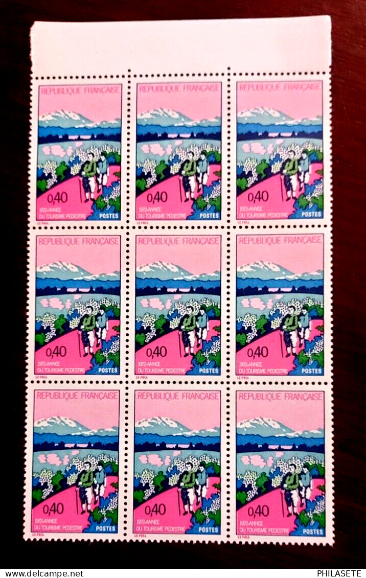 France 1972 Neufs N** Bloc De 9 Timbres YT N° 1723 Tourisme Pédestre - Feuilles Complètes