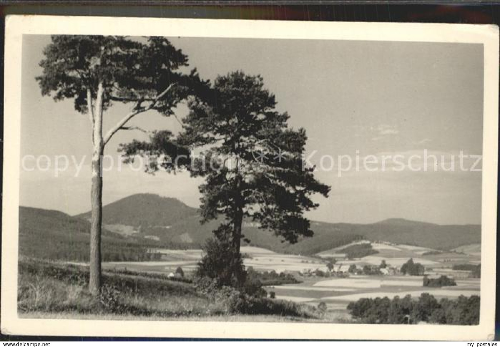 42345667 Lausche Saalendorf Lausche - Grossschoenau (Sachsen)