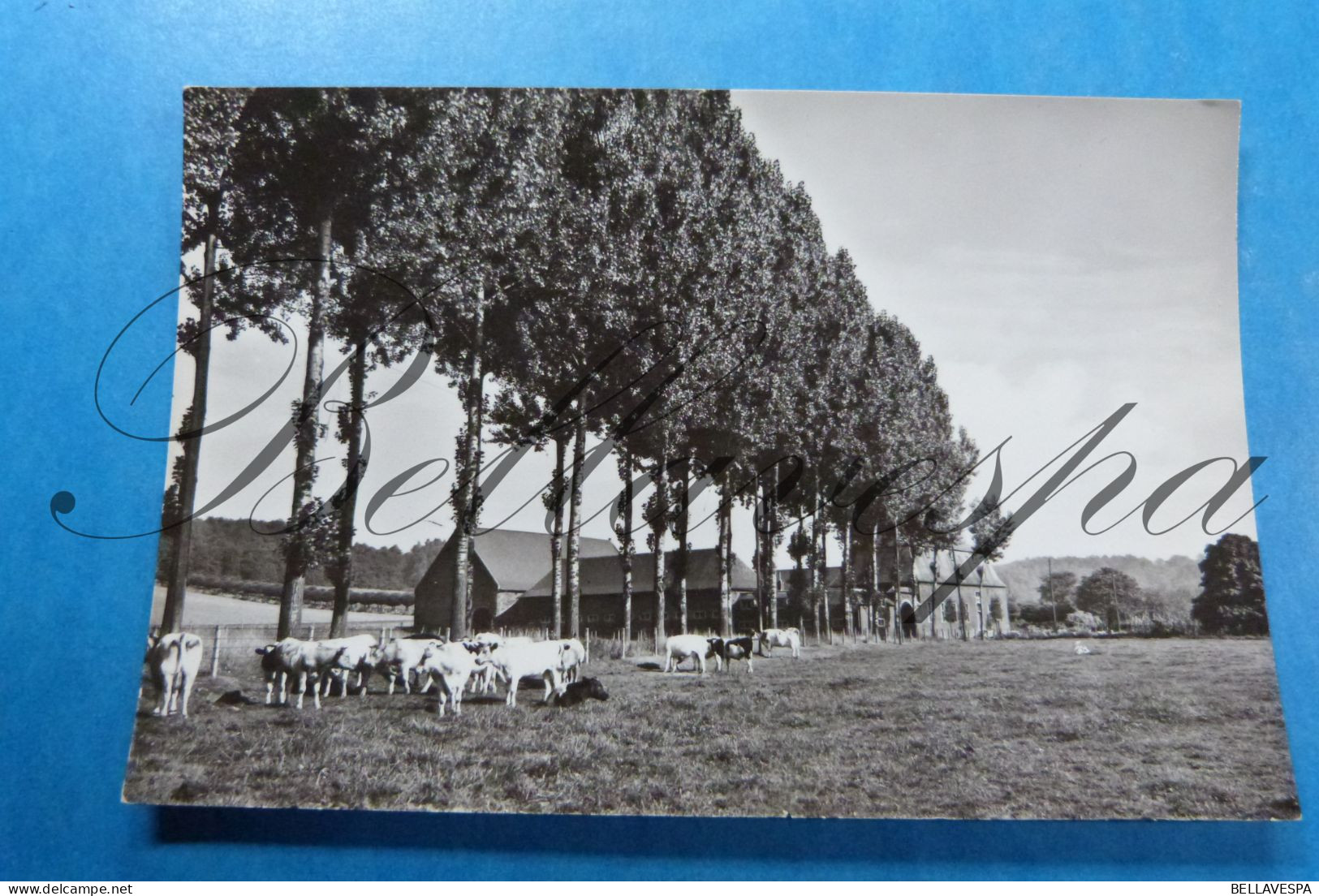 Basse-Wavre Ferme De L'Hoste - Wavre