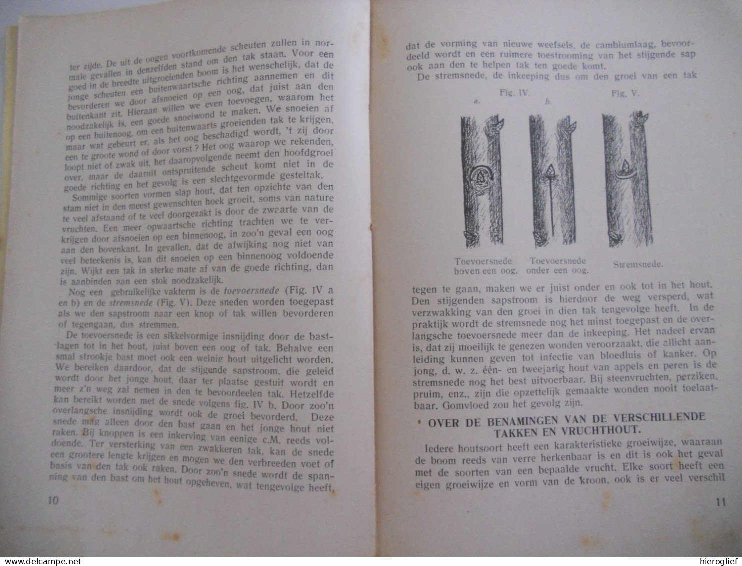 Hoe Snoei Ik Mijn Vruchtenboomen? Door L.C. Muijen Vruchtenbomen Fruitbomen Boomgaard Fruitteelt Landbouw Tuinbouw - Sachbücher