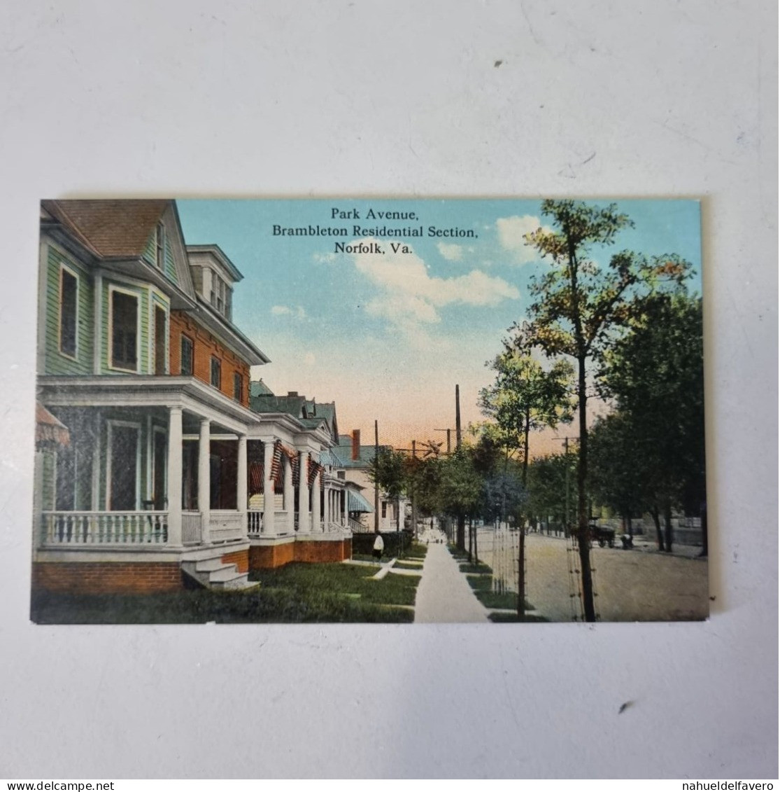 Uncirculated Postcard - NORFOLK, V.A. - PARK AVENUE, BRAMBLETON RESIDENTIAL SECTION - Norfolk