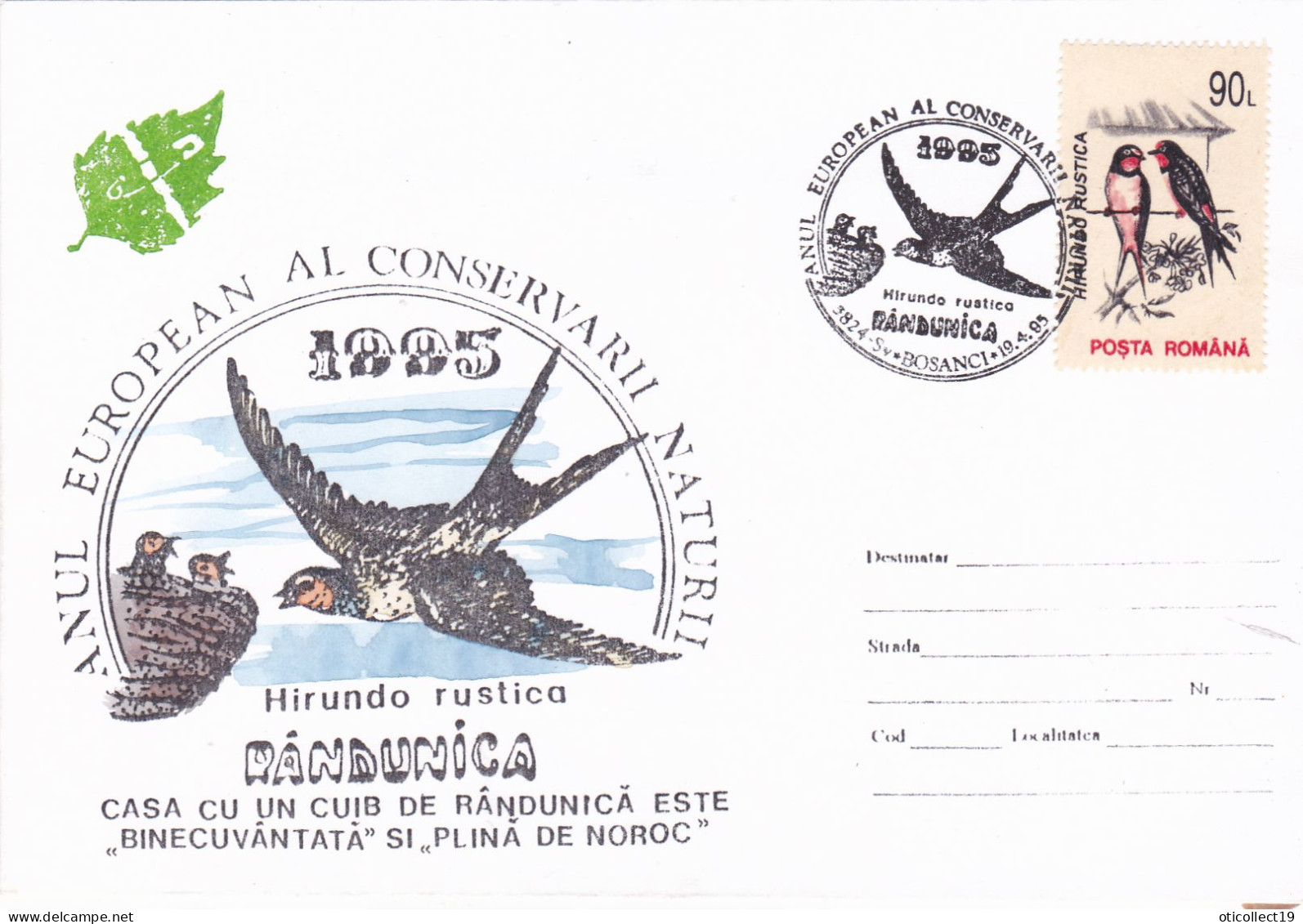 SWALLOWS, SPECIAL  PMK  AND STAMPS ON COVERS 1995, ROMANIA - Golondrinas