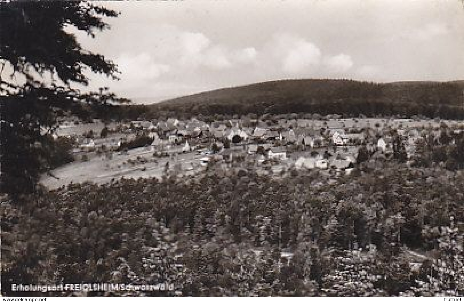 AK 189691 GERMANY - Freiolsheim / Schwatzwald - Hochschwarzwald