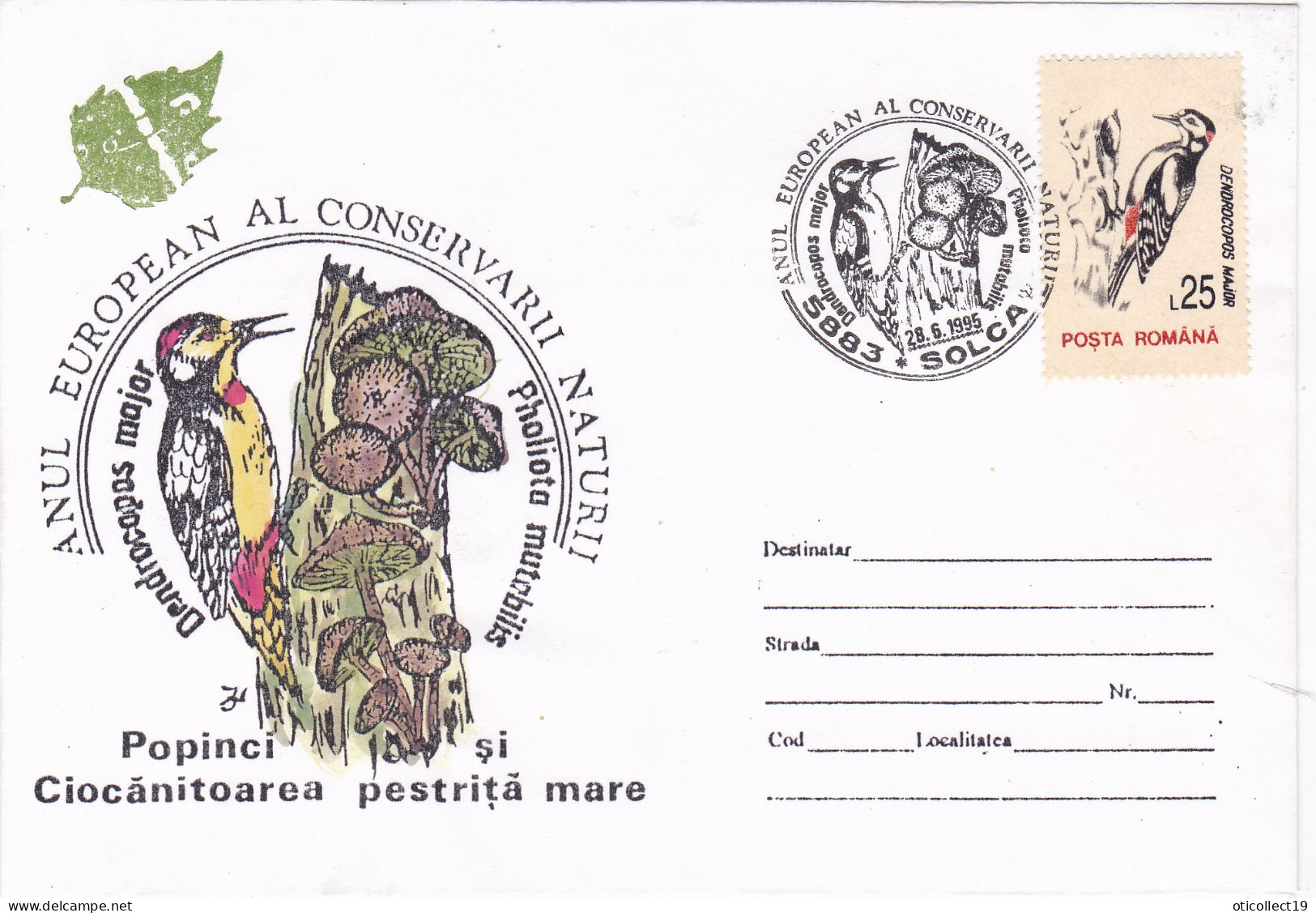 WOODPECKER, SPECIAL  PMK ON COVERS WITH STAMPS 1992 , ROMANIA, - Piciformes (pájaros Carpinteros)